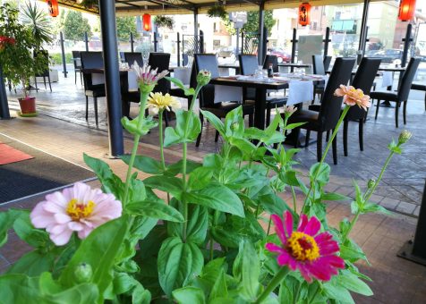 locale-bellissima-cibo.jpg