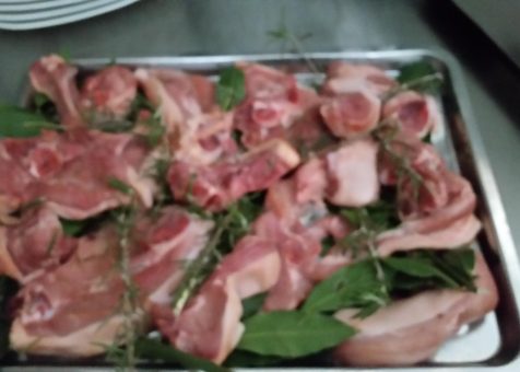 maialino-di-giornata.jpg