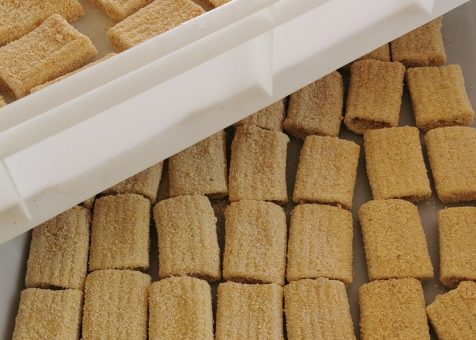 paccheri-di-gragnano.jpg