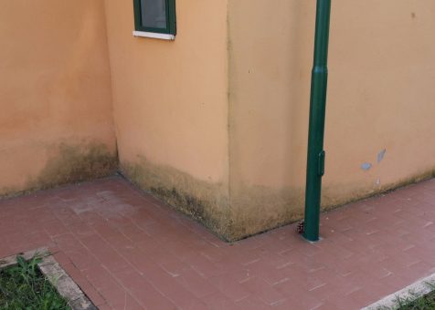 questo-quadratino-che.jpg